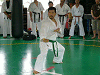 imido (103)_samu.gif